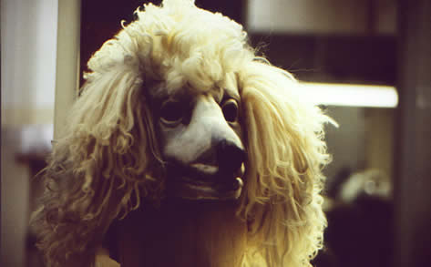Maske
