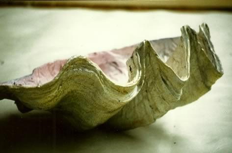 Muschel Dummy
